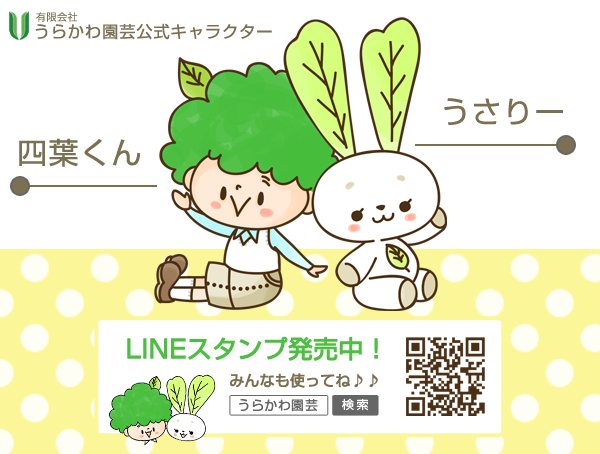 うらかわ園芸 企業キャラクター/LINEスタンプイラスト